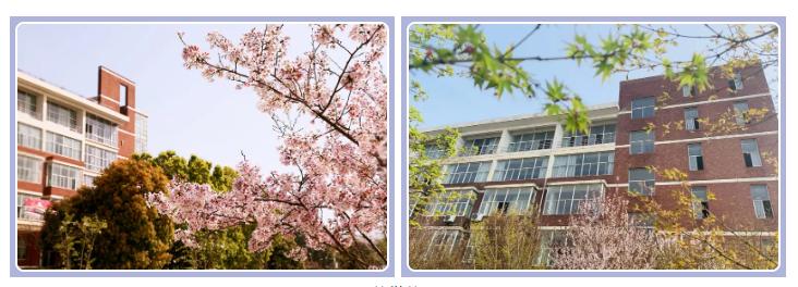 武汉外语外事职业学院可以进出吗,武汉外语外事职业学院出国