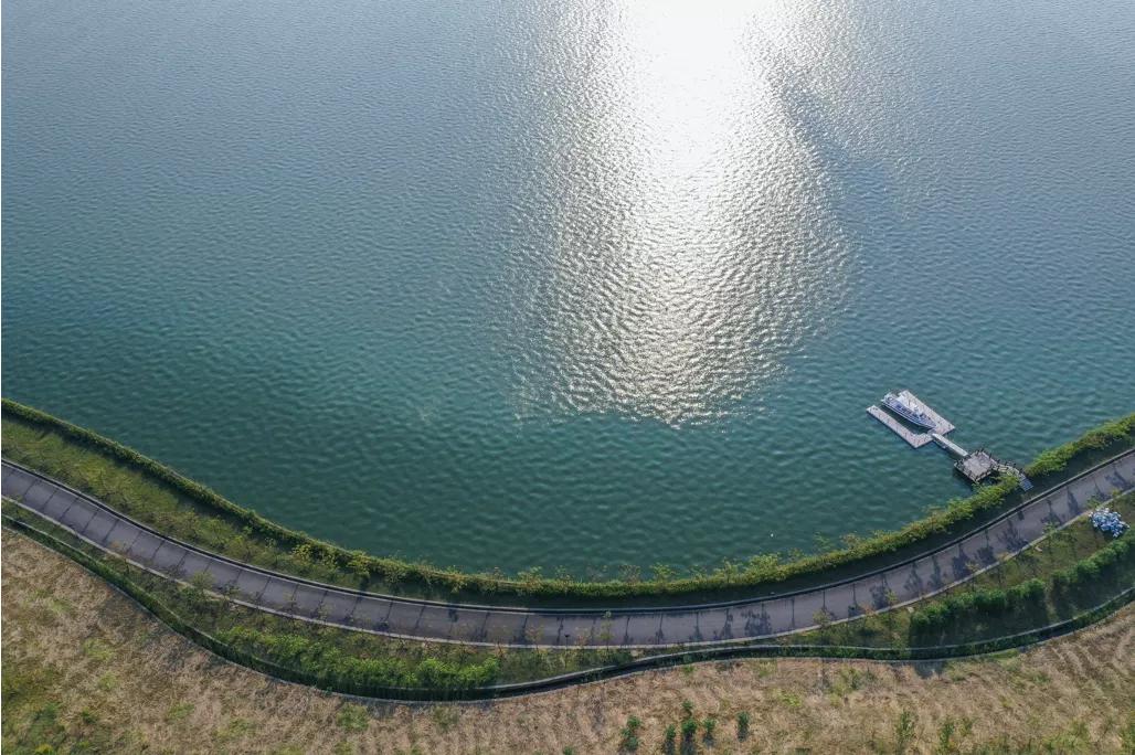 宋卫平杭州别墅,宋卫平杭州湾图片