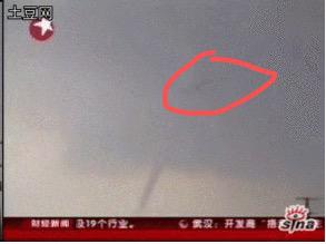 龙真的存在吗1934年,龙真的存在吗动画