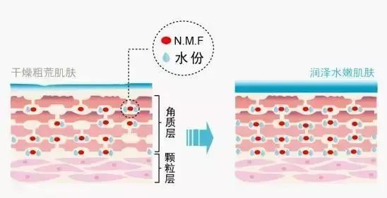 脸红热发烫怎么回事,天热脸红怎么快速消除