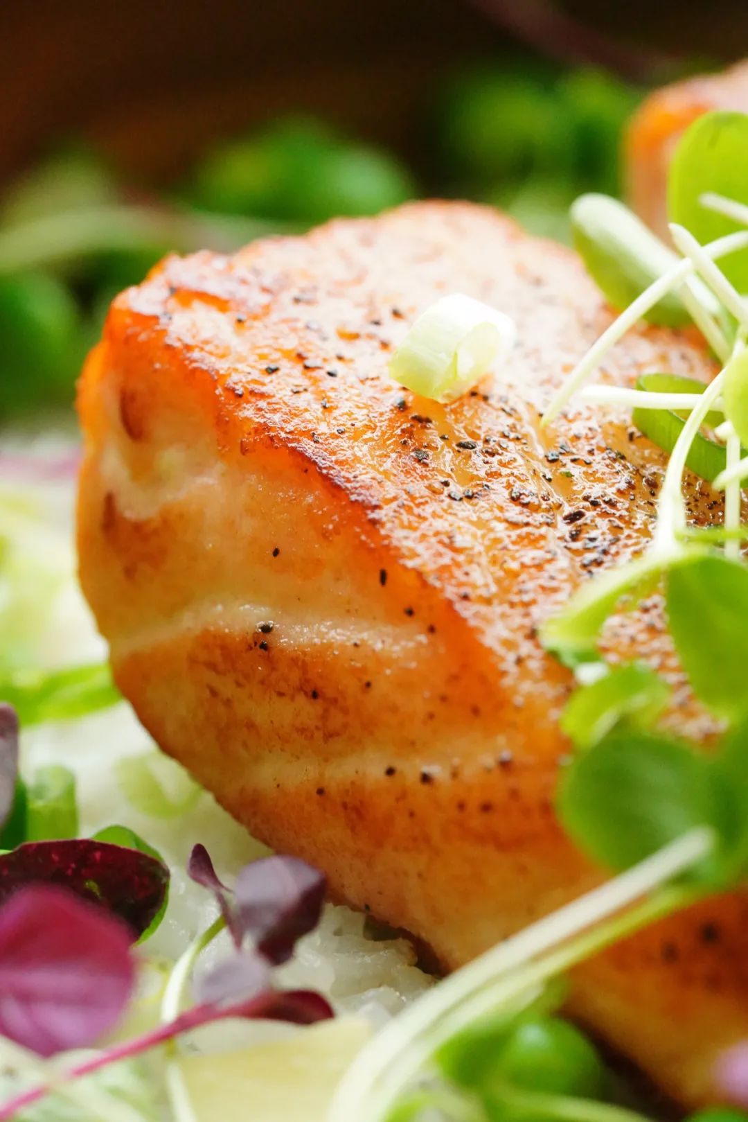 三文鱼煲仔饭怎么样,有人不爱吃孜然吗