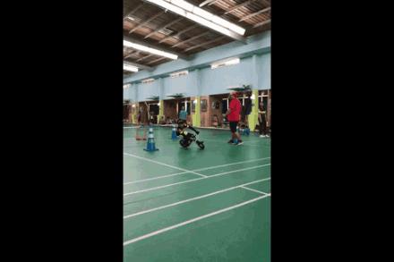 平衡车大摸底 (15款主流平衡车大摸底)