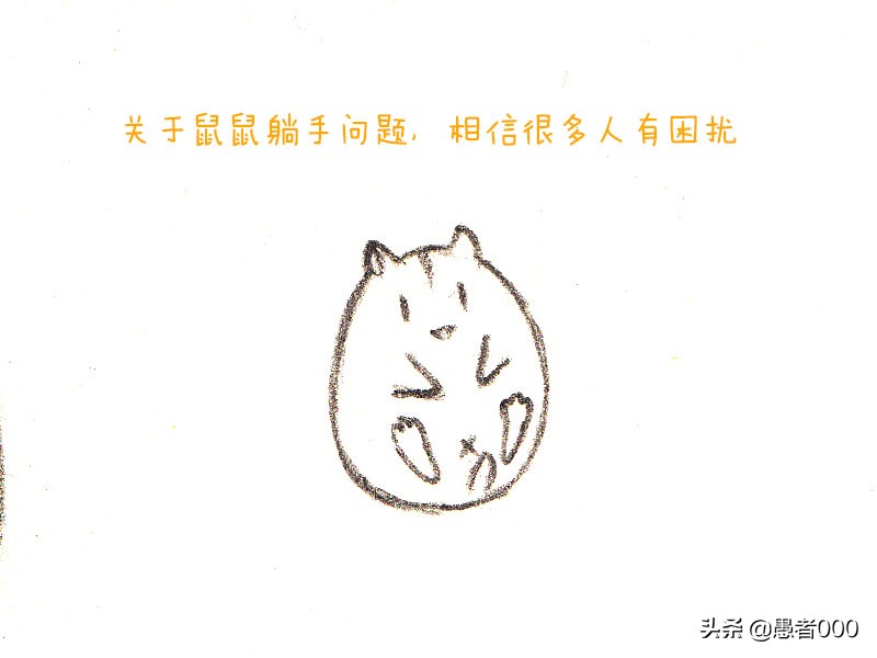 可爱的仓鼠漫画简单,画可爱的仓鼠漫画