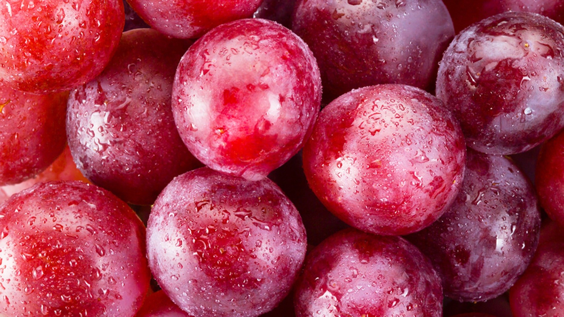 世界上最贵的水果前20种,世界最贵的水果是哪六种