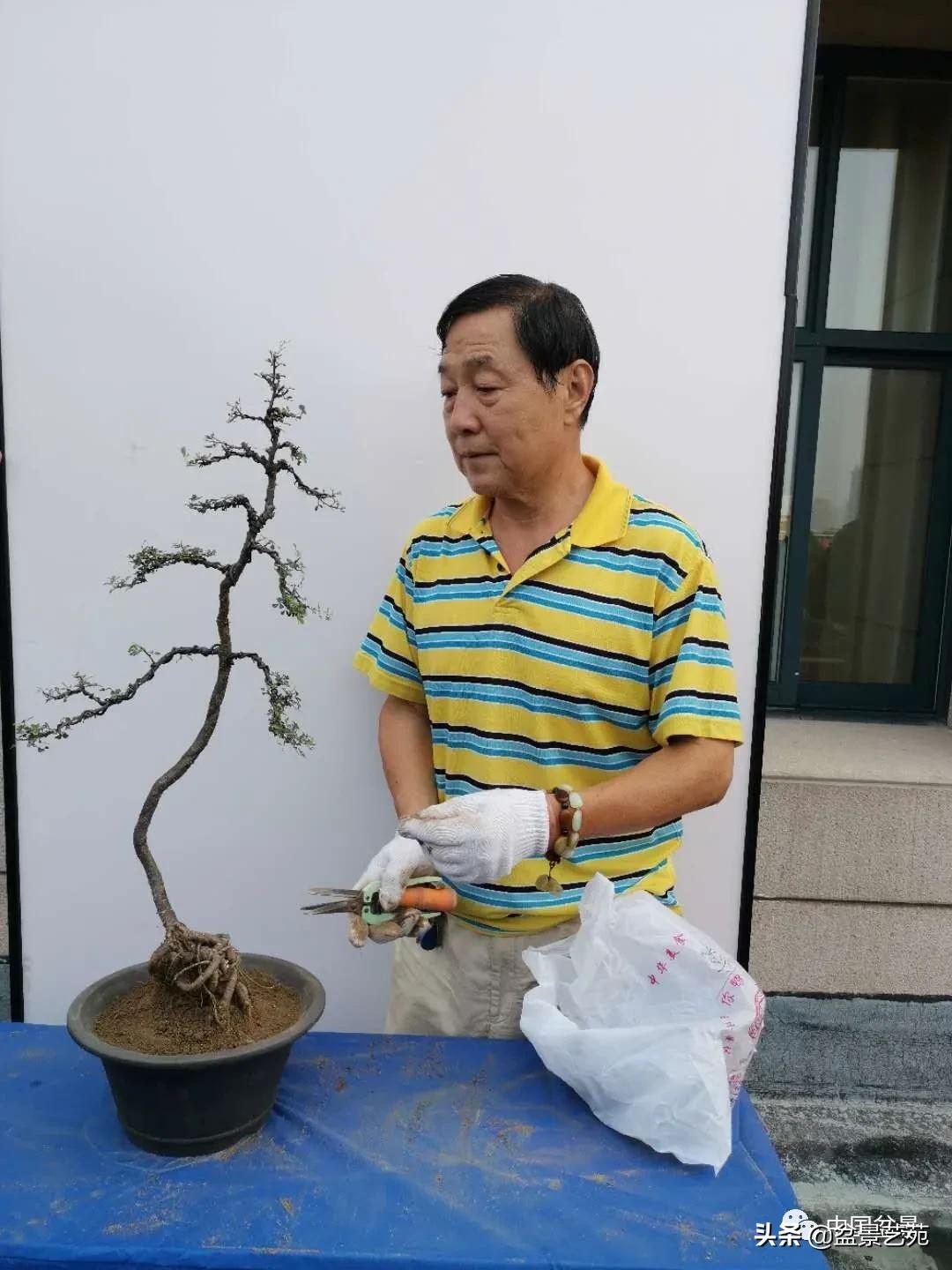 涓浗钁楀悕鐩嗘櫙澶у笀绮惧搧鐩嗘櫙,鐩嗘櫙鑹烘湳瀹跺拰鐩嗘櫙鑹烘湳澶у笀