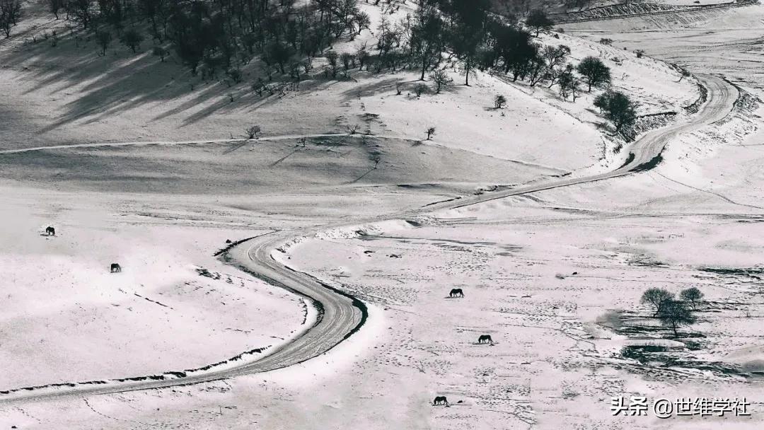 百程旅行公司关闭的原因,百程旅行网签证