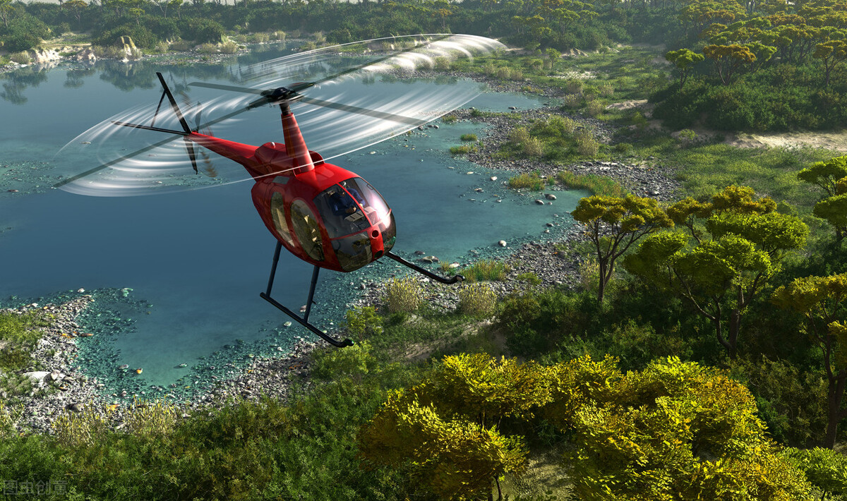 航拍信鸽归巢视频,赛鸽归巢后怎么看