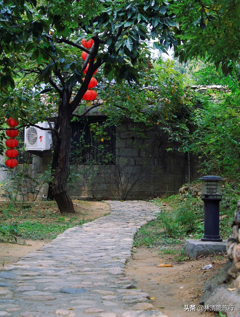 山东最高的山旅游景点,山东天下第一大奇山