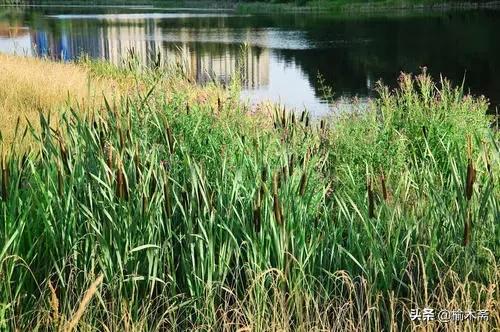 山水谢灵运诗词,李白秋登宣城谢脁北楼原诗详解