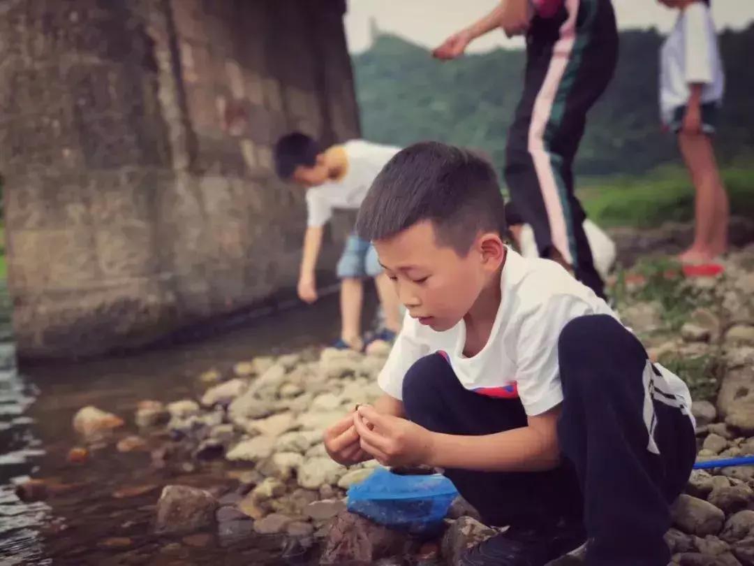 缙云民宿推荐,缙云近云丽舍轻奢民宿