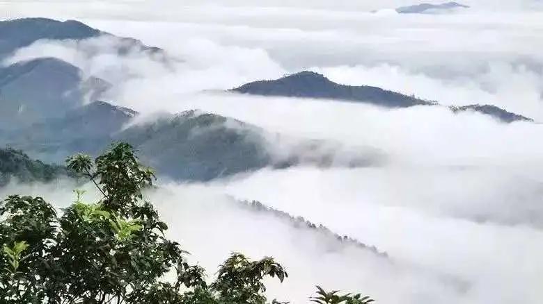 藏在云浮深山的农庄,云浮禅山度假酒店