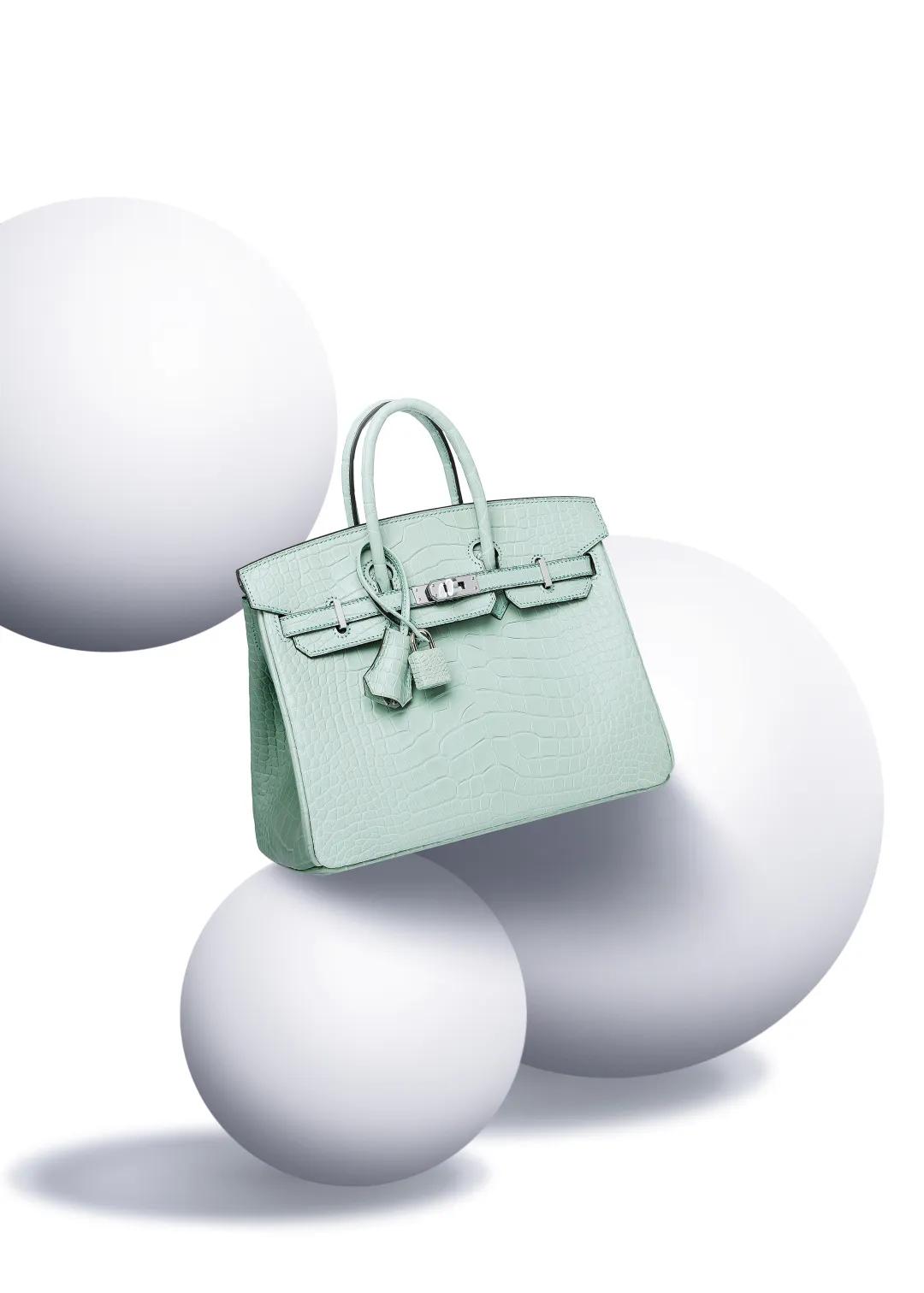 專家指南|一文教你讀懂愛馬仕的鱷魚皮手袋