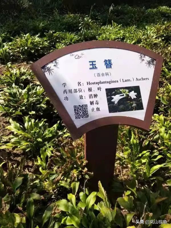 再传新捷报,再传捷报纪录片