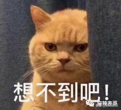 吃潘玮柏老婆的瓜竟然吃到乔任梁身上，揭秘网红们的PUA培训班