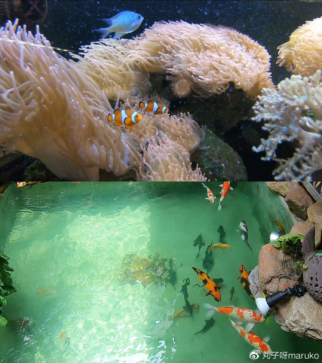 马来西亚槟城欢乐假期之旅,马来西亚槟城二日游攻略