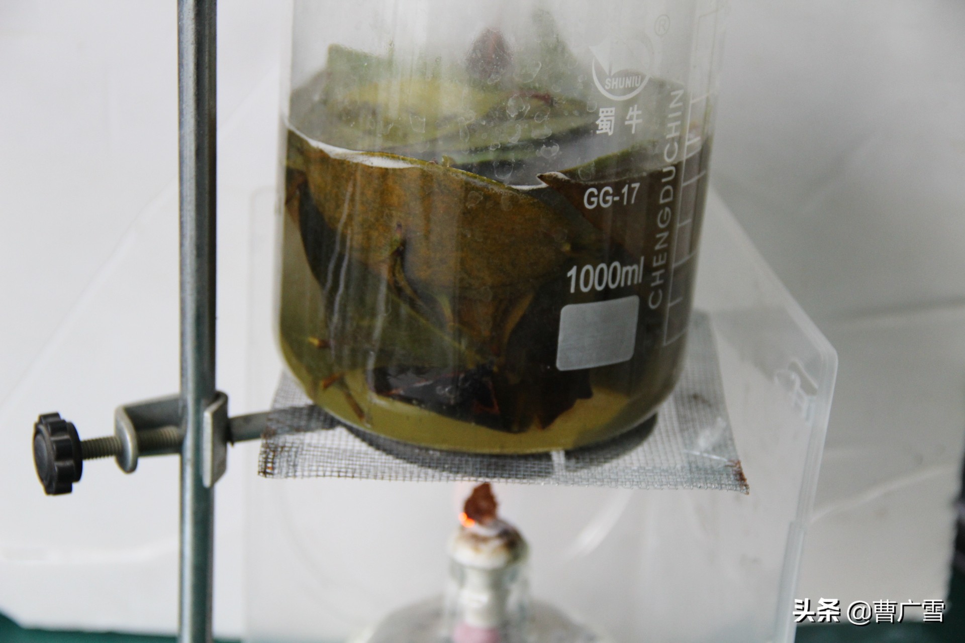 叶脉造型创意画幼儿作品,孩子喜欢的儿童创意画教程6-7岁