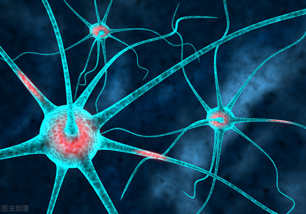 人工智能原来这么有意思,人工智能到底知道什么秘密