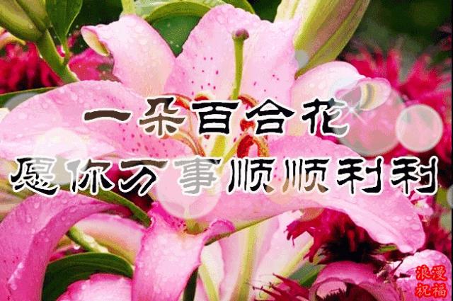 三八妇女节问候公文形式,三八妇女节问候男人