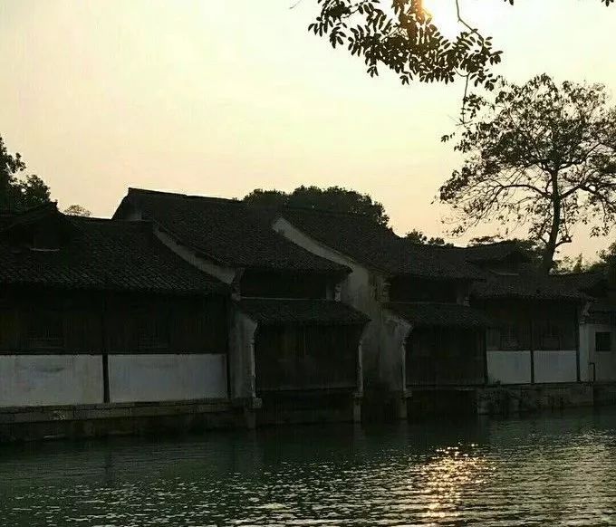 人生建议一定要来一次乌镇,一生一定要去一次的乌镇