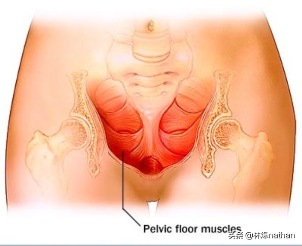 坐月子后觉得肌肉松弛,产后肌肉变松如何恢复