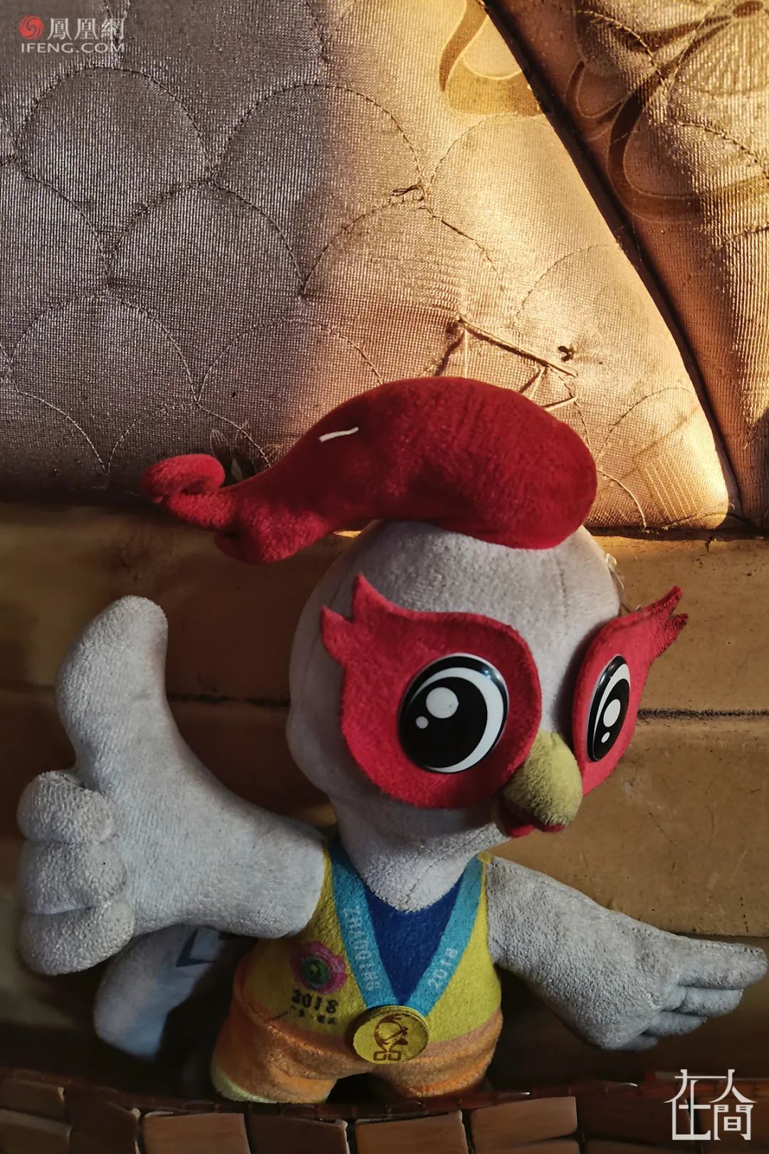 14岁奥运冠军全红婵视频,14岁奥运冠军全红婵上大学