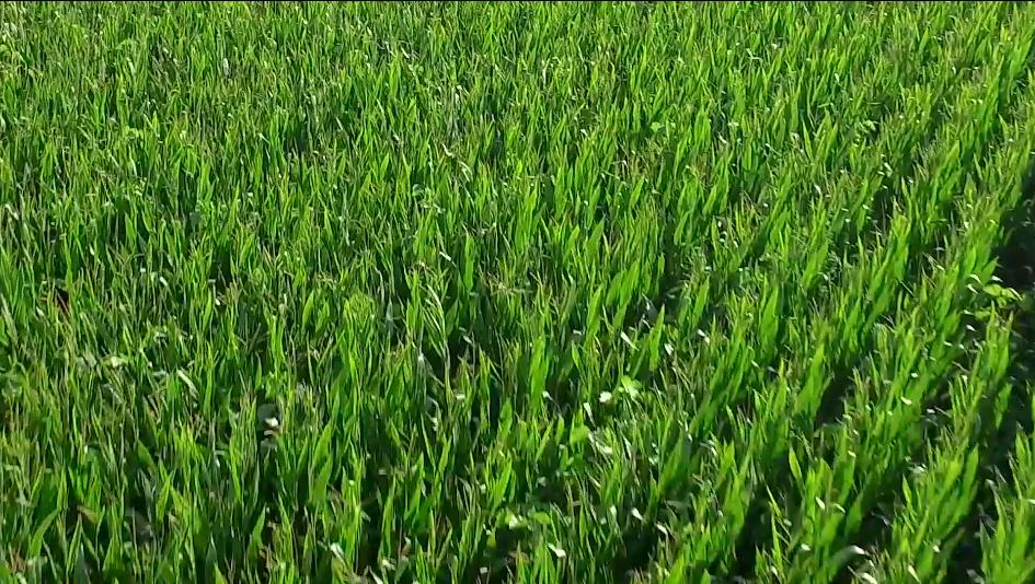 广特播报栏目,广特播报上海