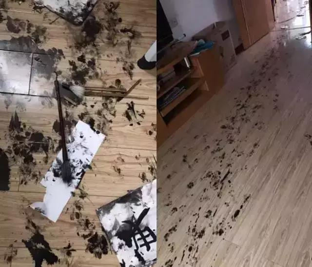 如何判断边境牧羊犬是笨是聪明,边境牧羊犬为什么不会攻击人