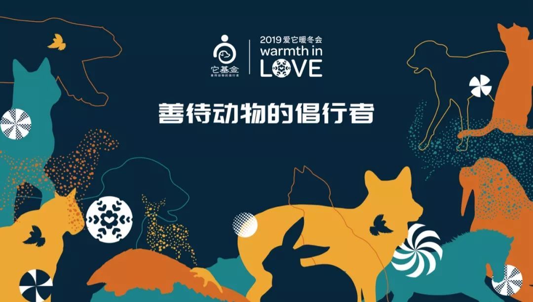 胡歌彭于晏和我,胡歌我和我的父辈