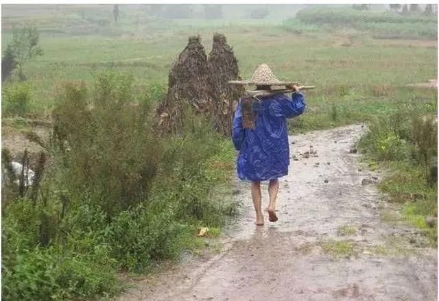 今年闰月年天气预测,2020闰月和天气有关吗