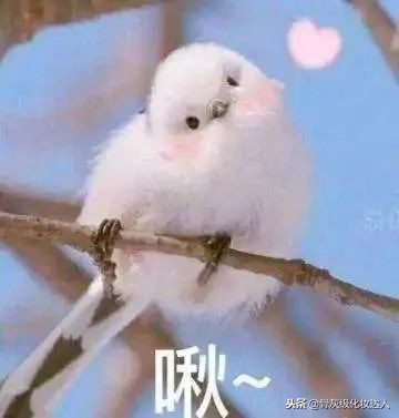 21年秋冬流行妆容,高级感的日杂妆容