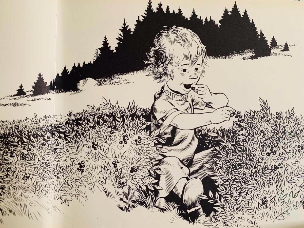 一年级绘本亲子共读视频,一年级绘本读书分享