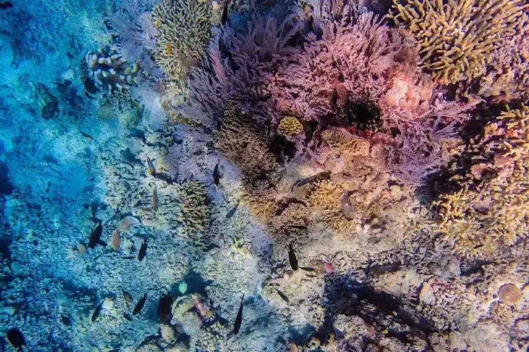 不出国门异域风光,不出国门就能看到各地风情