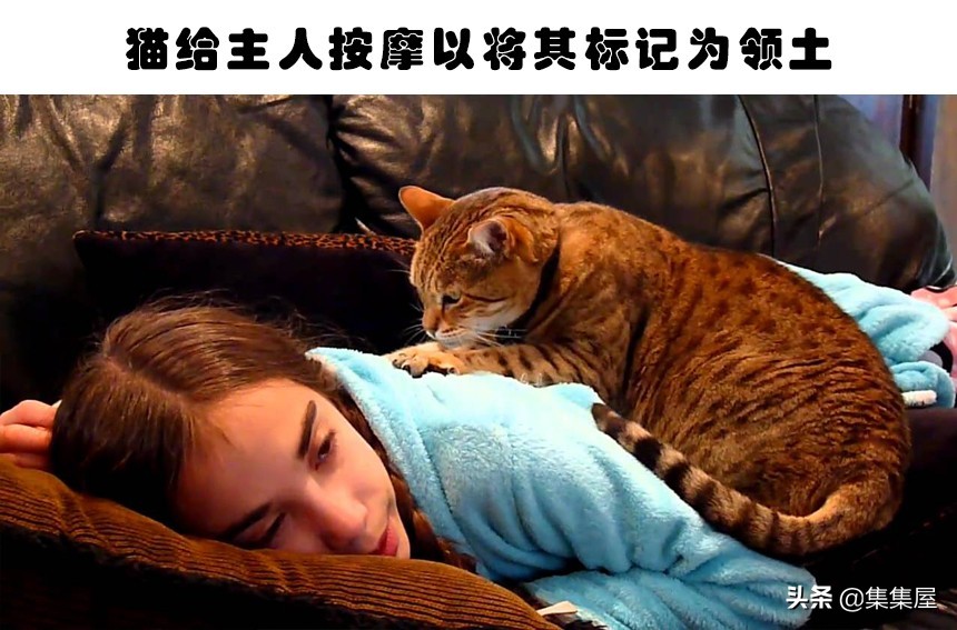 大自然中不常见的动物,关于大自然的动物百科