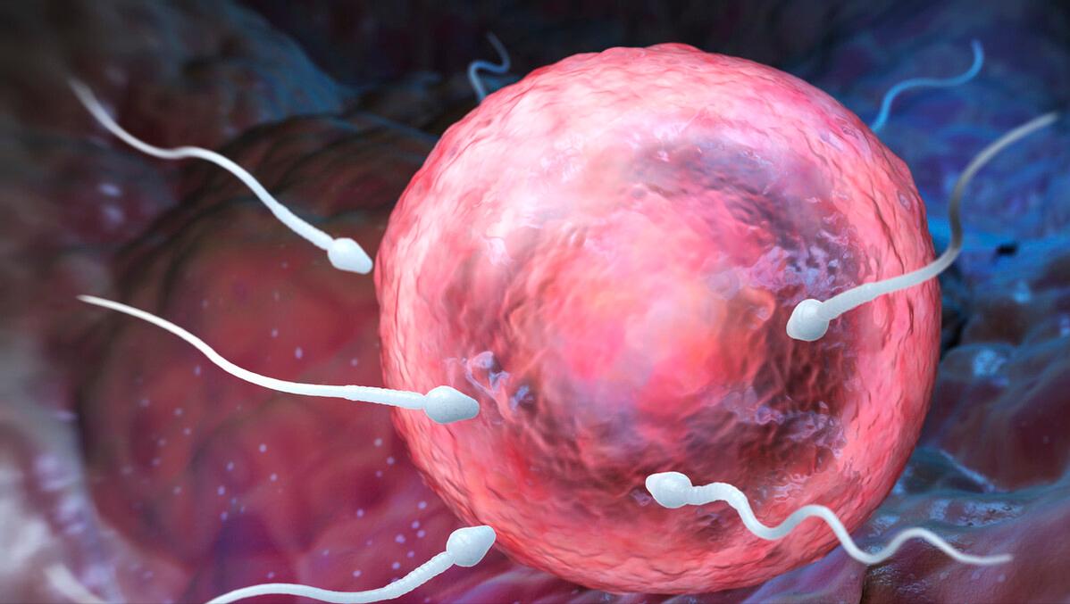 女性增强生育能力十种方法,生殖健康的标准是什么