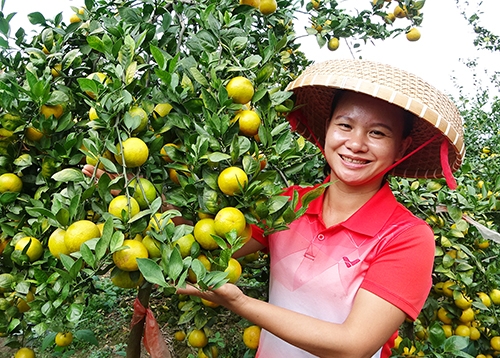 想做自媒体挣钱不知从哪里开始,想做自媒体却不知道怎么入手