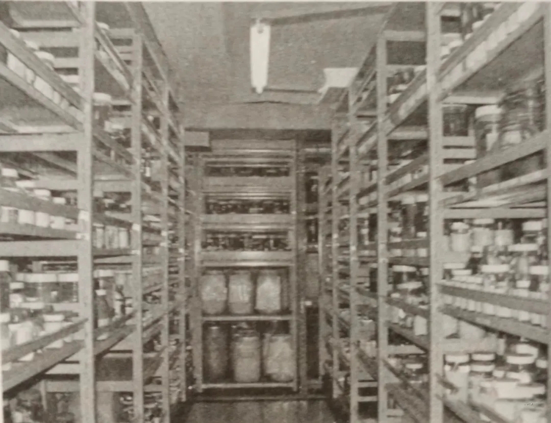 标本运输a类或b类进行几层包装,生物安全标本包装运输注意事项