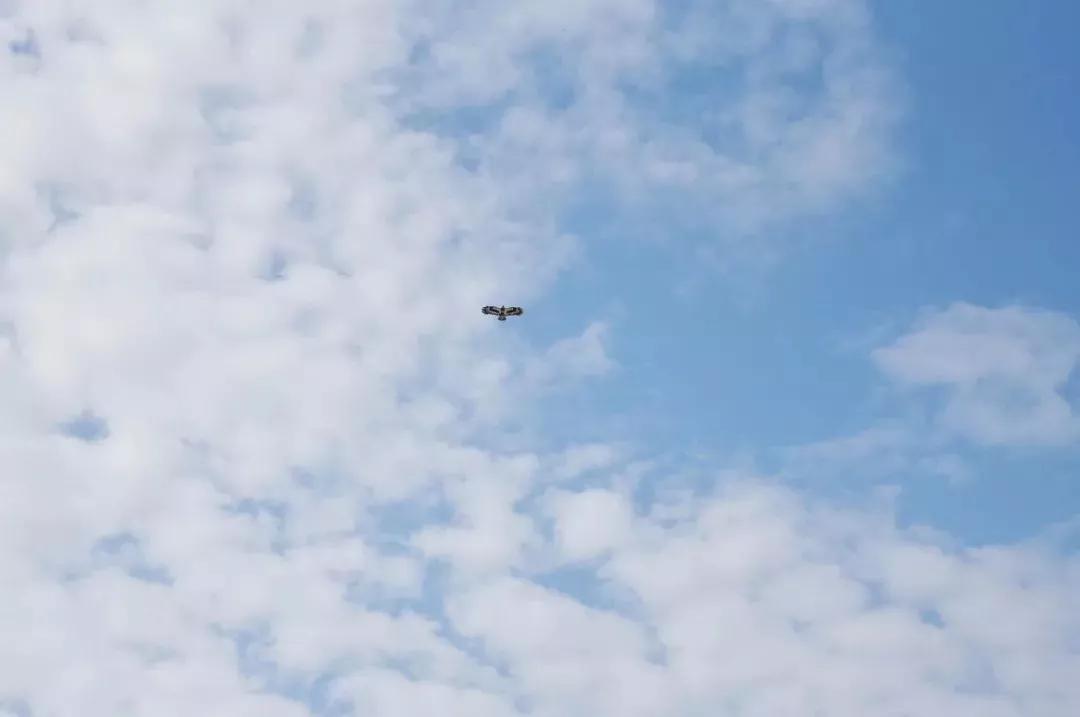 无风风筝能飞吗,无风也能飞的风筝怎么做视频