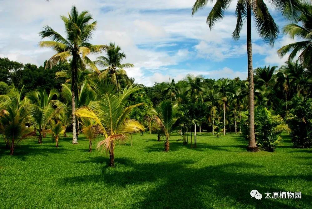 动植物园国庆游玩攻略,国庆节可以去的植物园