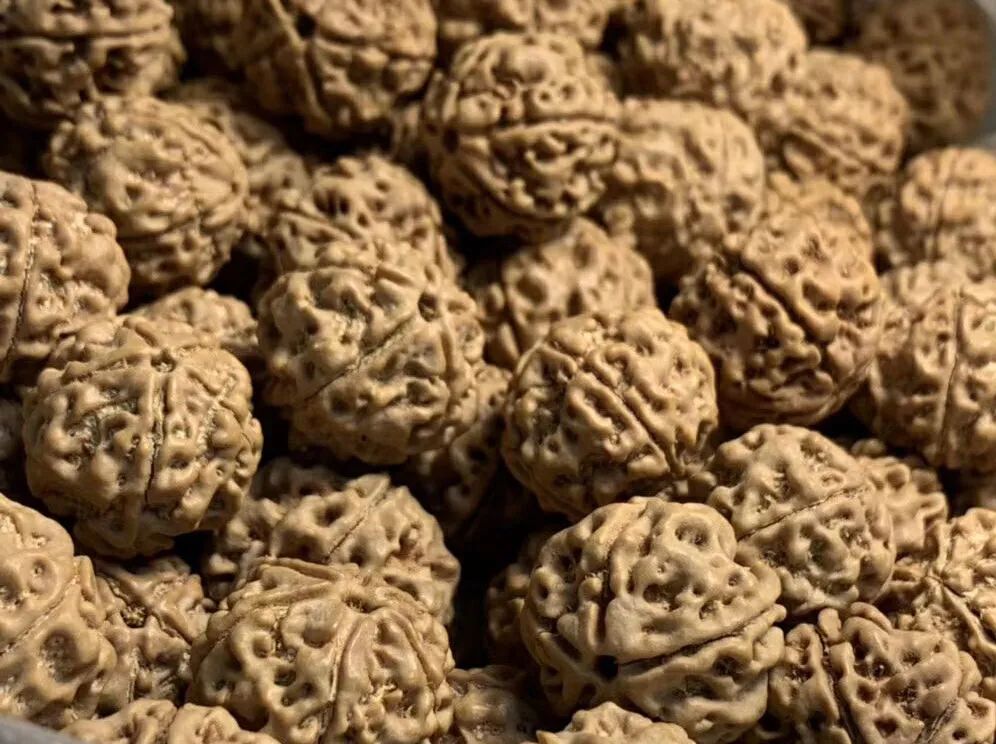 大金刚和小金刚哪个好玩,新手推荐小金刚还是大金刚