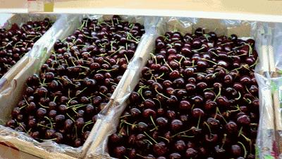 生鲜果蔬配送商城长春,全球顶级水果生鲜配送