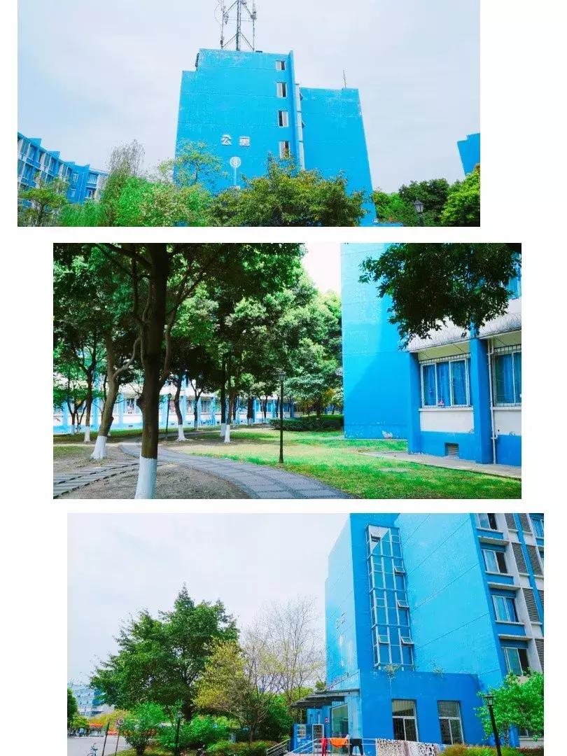 我的青春，叫电子科大成都学院！