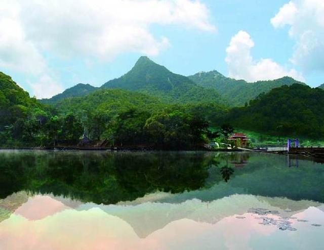 有哪些原始森林公园可以去玩,世界森林公园美景视频