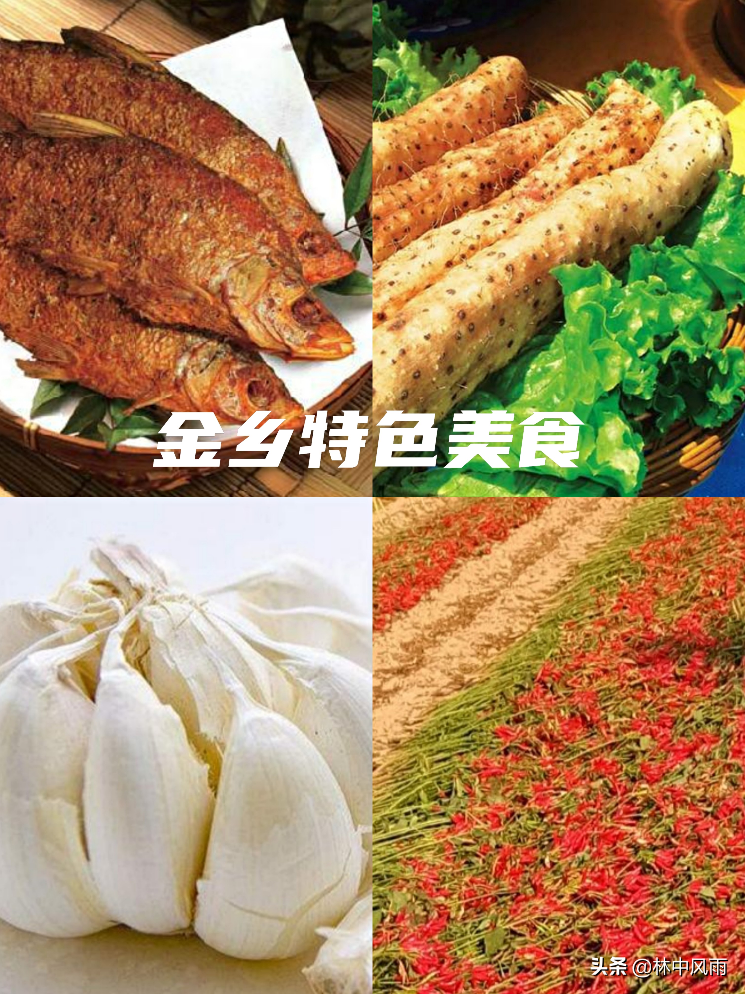 鲁西南明珠,鲁西南明珠景点