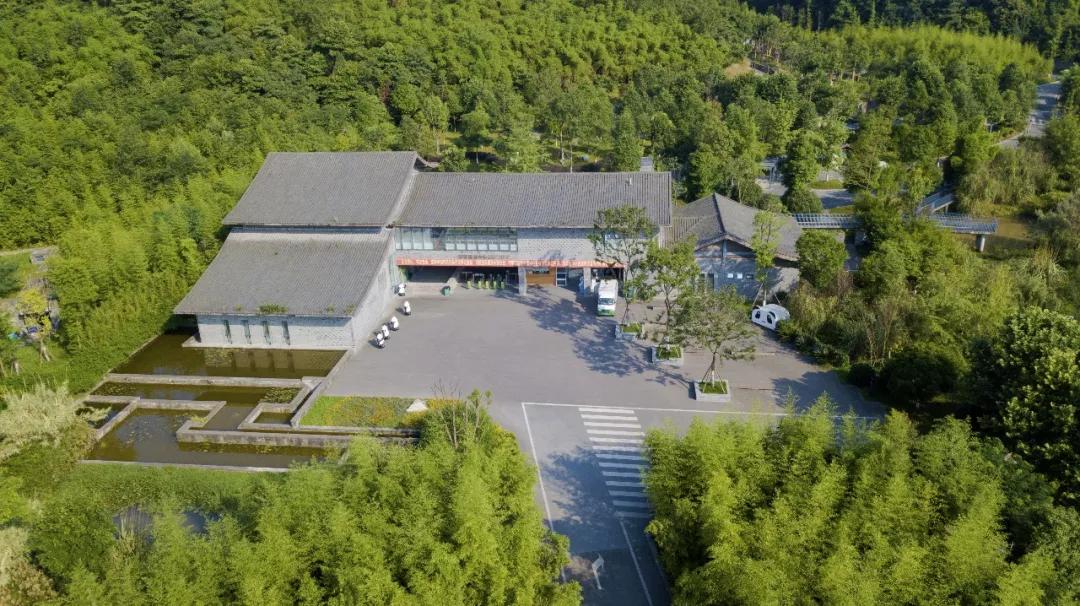 青城山熊猫谷都江堰一日游攻略,熊猫谷青城山都江堰一日游攻略