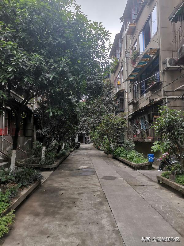 成都最适合买的小学学区房,成都实验小学对应楼盘