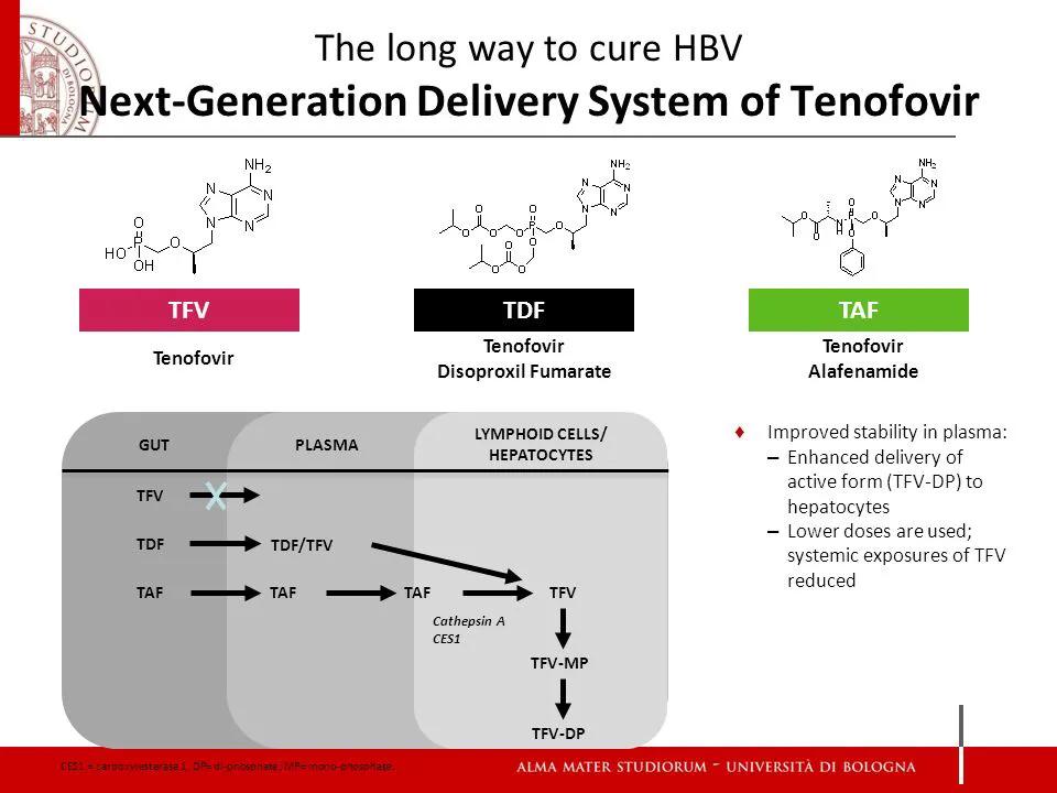 乙肝抗病毒药肾损伤表现,抗乙肝病毒引起的肾损害怎么治疗