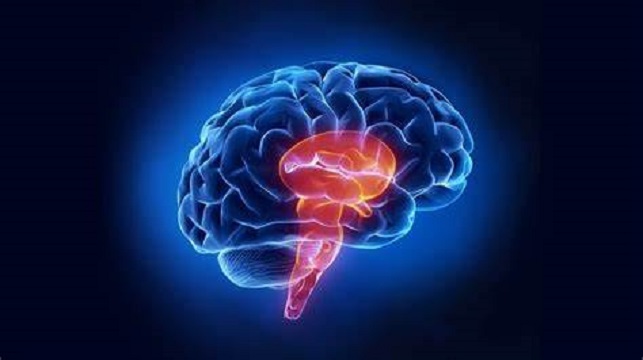 猫狗狂犬病一旦发病能活几天,为什么狂犬病一发作就治不好