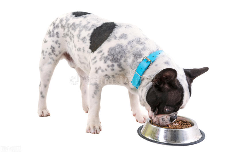 狗狗缺钙严重会站不起来视频,怎么判断狗狗是髌骨脱位还是缺钙