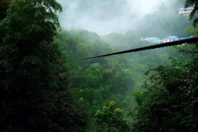 厦门有避暑的地方吗,厦门清凉避暑好去处推荐