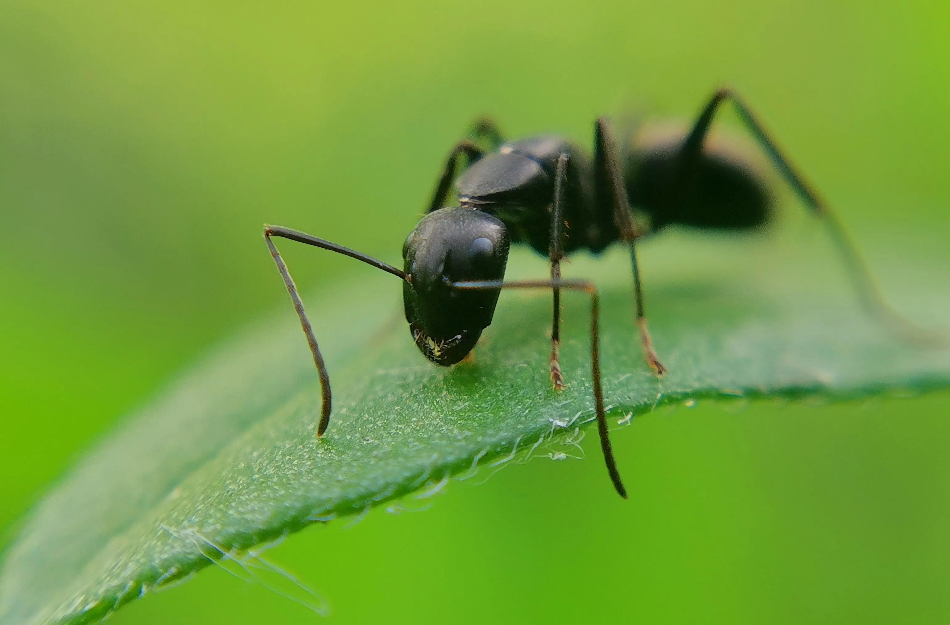 手拍世界作品集402期,2022年世界手机摄影大赛征稿
